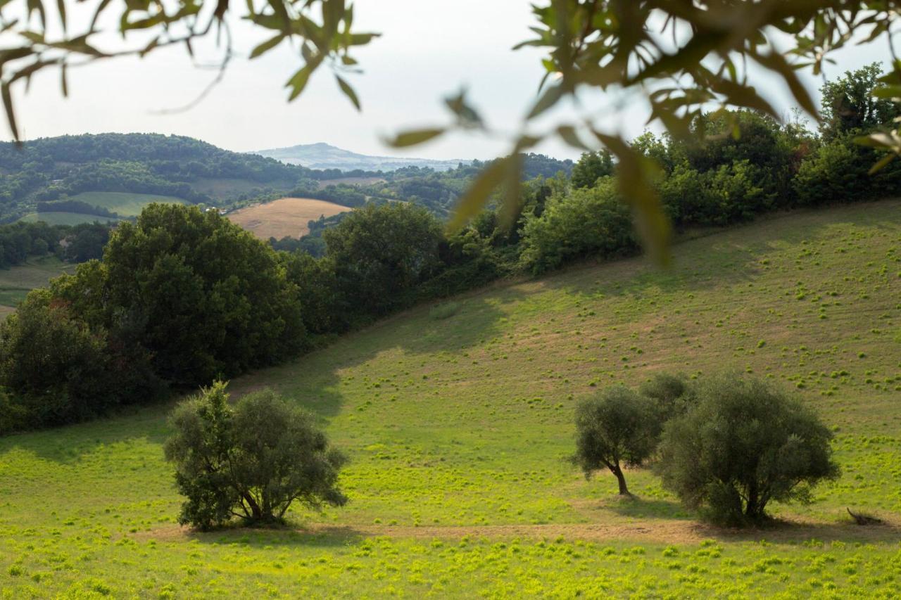 San Rocco Country House Villa Pesaro Exterior photo